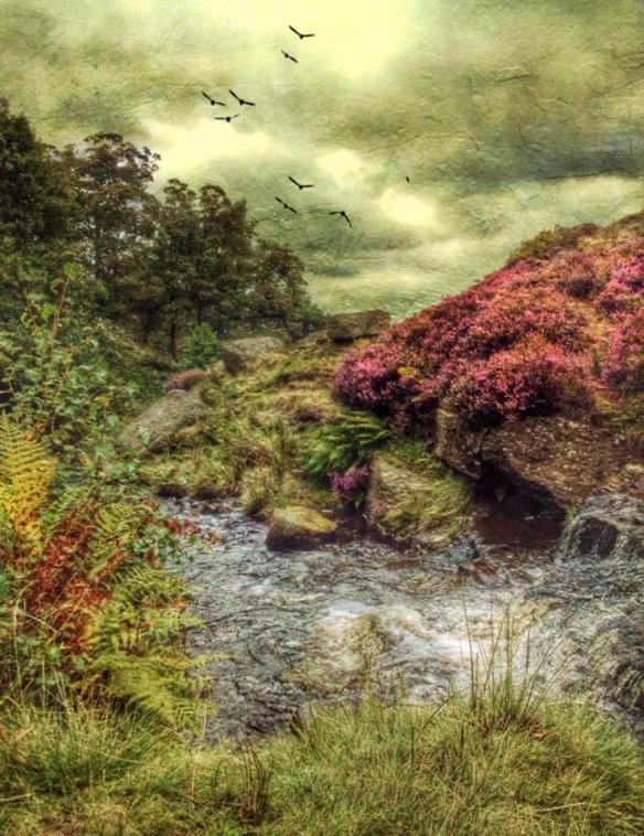 10685403_10201542999976857_9146587553217900254_n