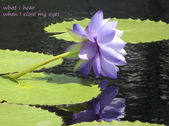Haiga - Purple Lotus