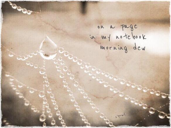 10363537_1026483504035746_8922895774856208915_n