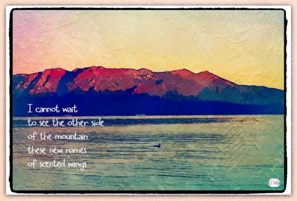 88abf844-1a64-433a-b6f7-89561920b778