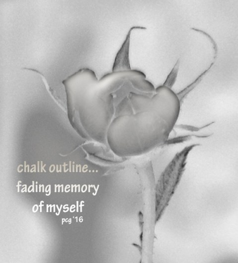 000001aa990-1-1dalaa-0a1-1-01-1a A63f