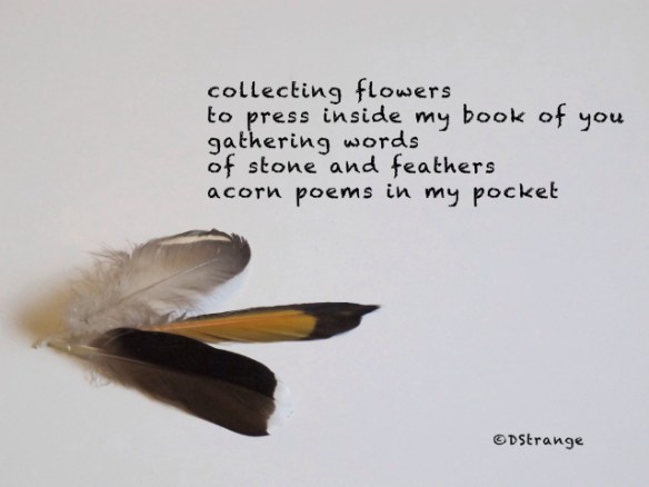 Collecting Flowers_1.jpg