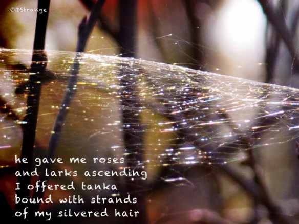 He Gave Me Roses_2.jpg