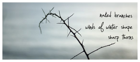 naked branches (1).jpg