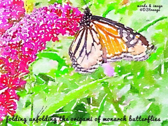 Folding Unfolding_1.jpg