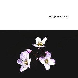 2019-04-26_13-09-07_000 (2019-05-21T09_40_30.806)