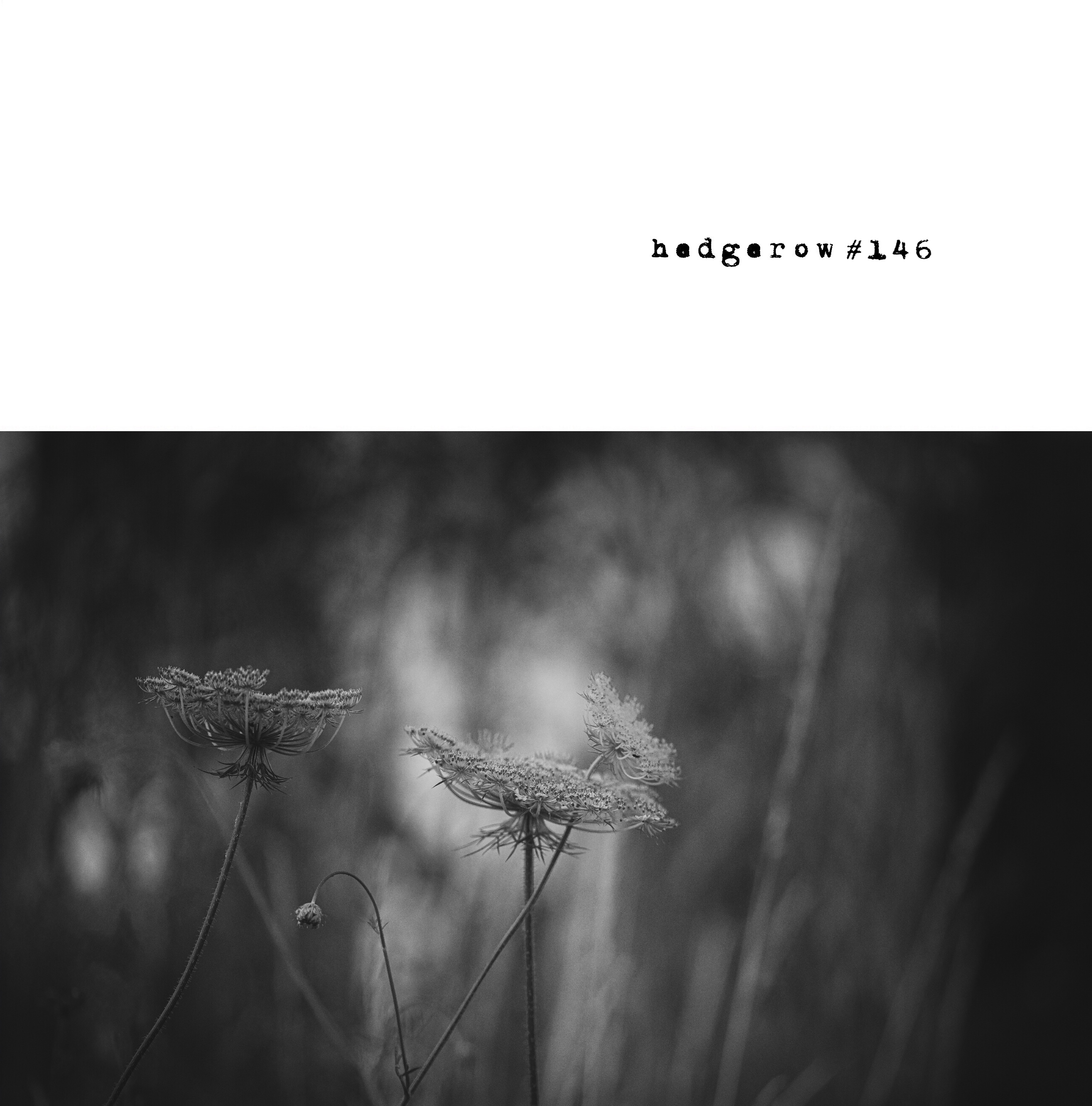 new lighter cover copy